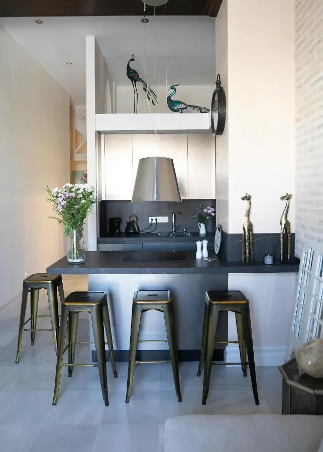 Appartamento innCádizPalacio Conde Casa-Brunet
